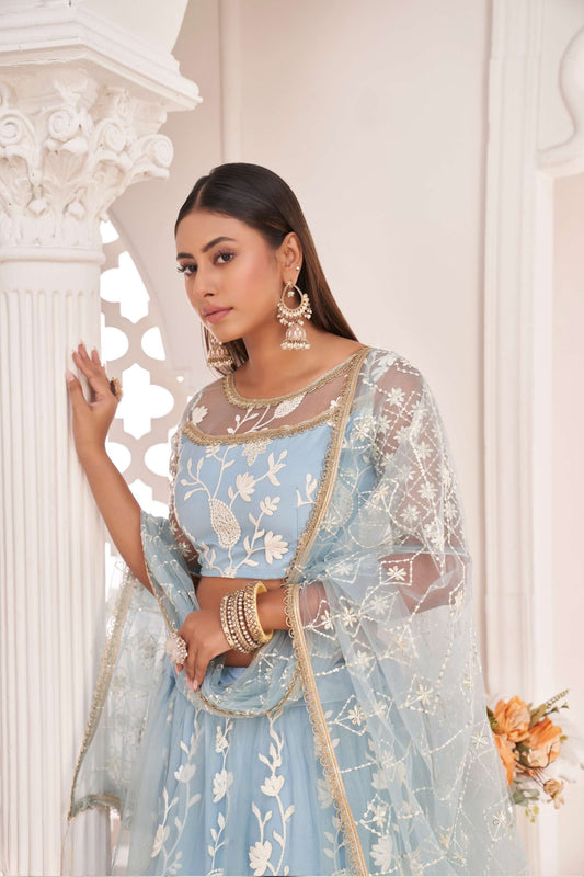 Blue Net Embroidered Lehenga Choli & Dupatta