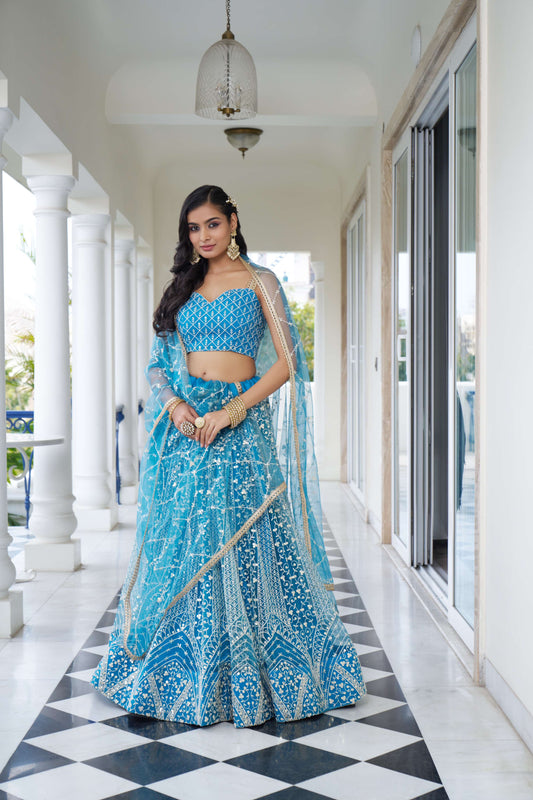 Blue Thread Embroidery Net Lehenga Choli