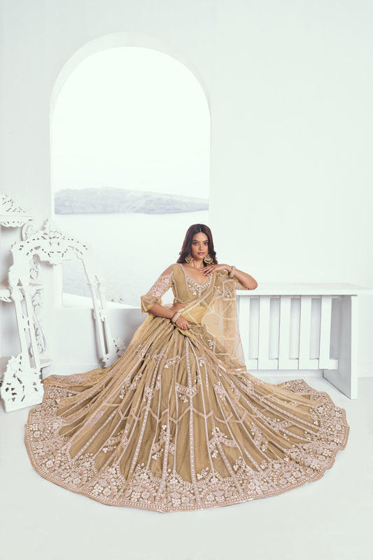 Beige Embroidered Net Lehenga Choli