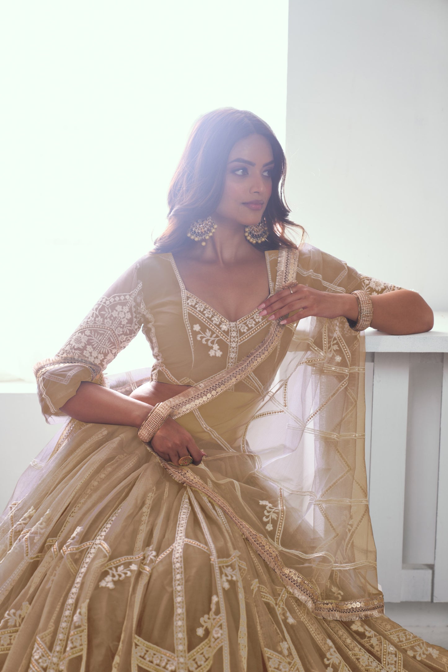 Beige Embroidered Net Lehenga Choli
