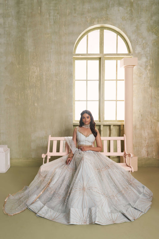 Light Grey Embellilshed Net Lehenga Choli