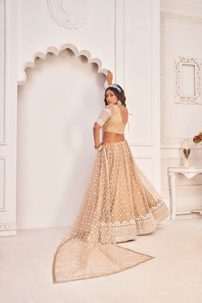 Beige Sequins Embroidered Net Lehenga Choli