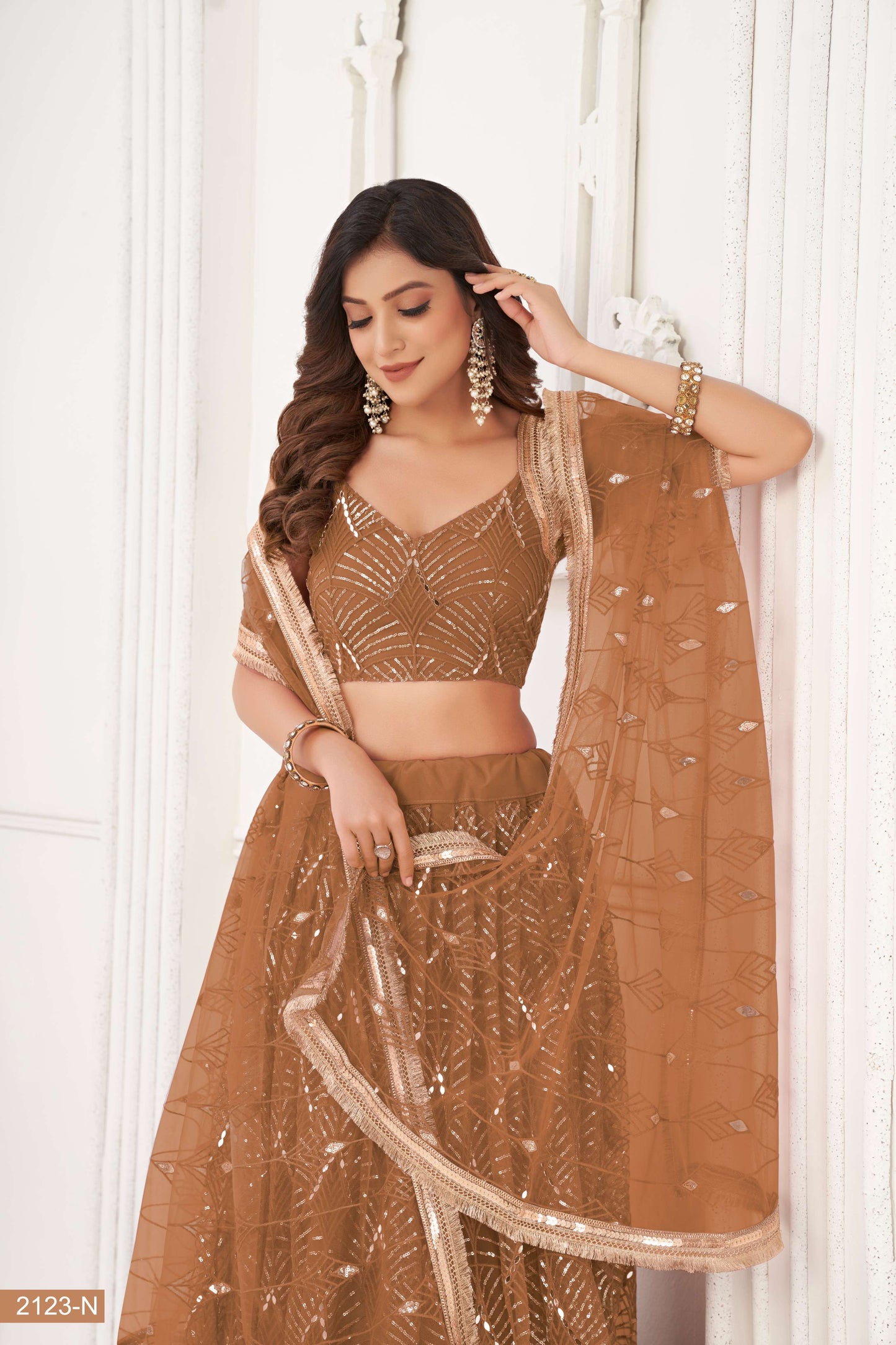 Brown Embroidered Lehenga Choli & Dupatta