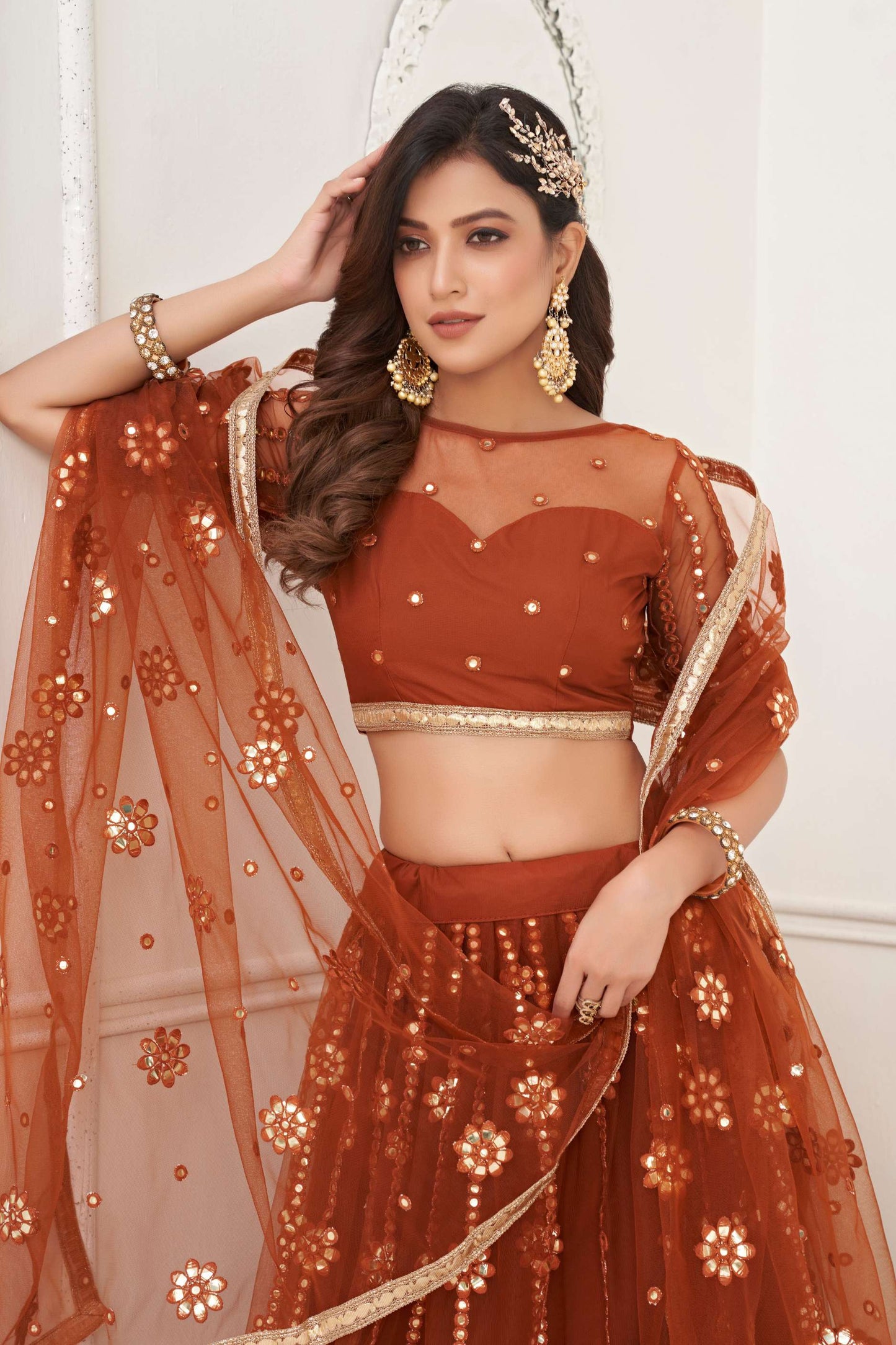 Brown Net Lehenga Choli in Sequins Embroidery