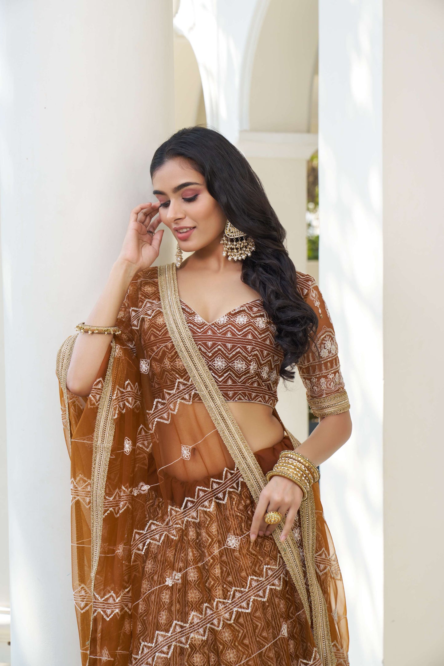 Brown Embroidered Net Lehenga Choli