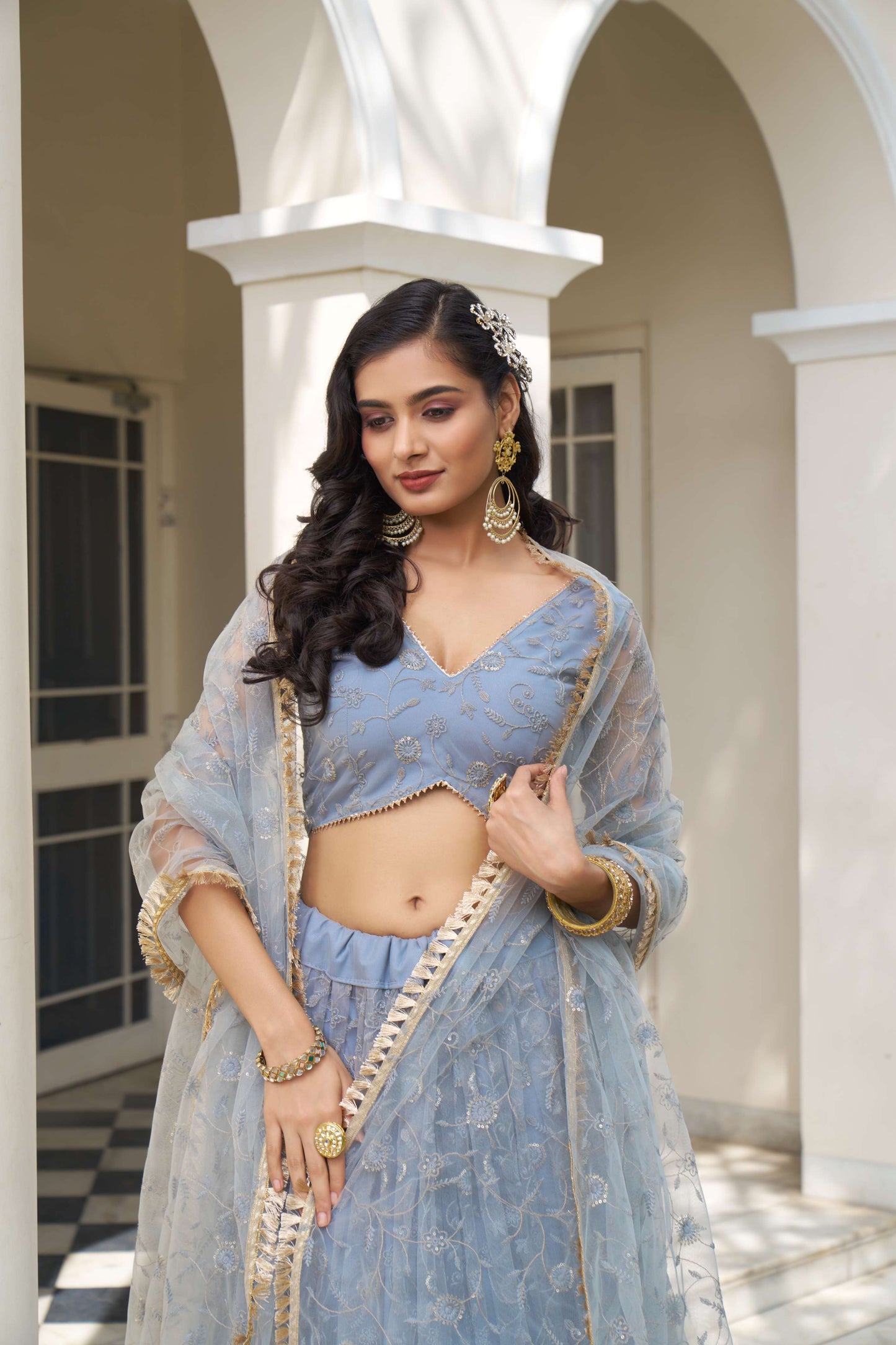 Grey Light Blue Thread Embroidered Lehenga Choli
