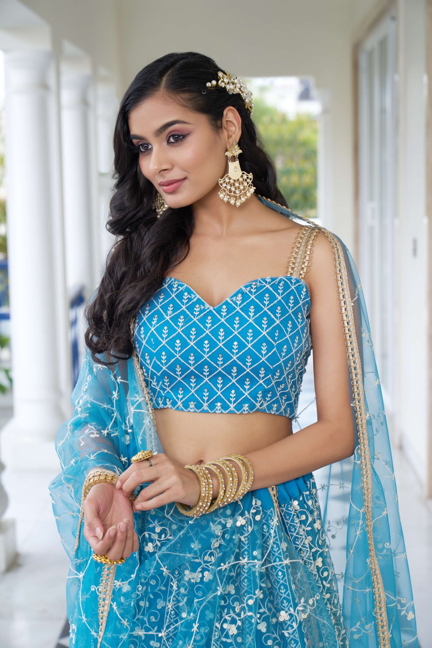 Blue Thread Embroidery Net Lehenga Choli