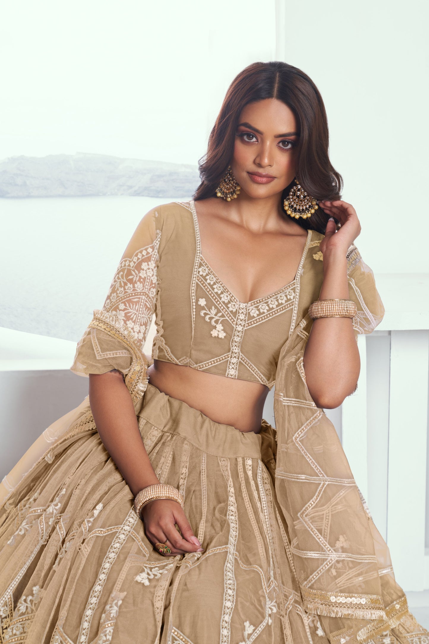 Beige Embroidered Net Lehenga Choli